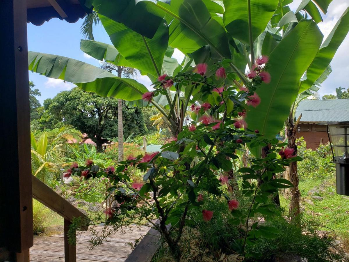 Les Bananes Vertes Ecolodges Saint-Claude Buitenkant foto