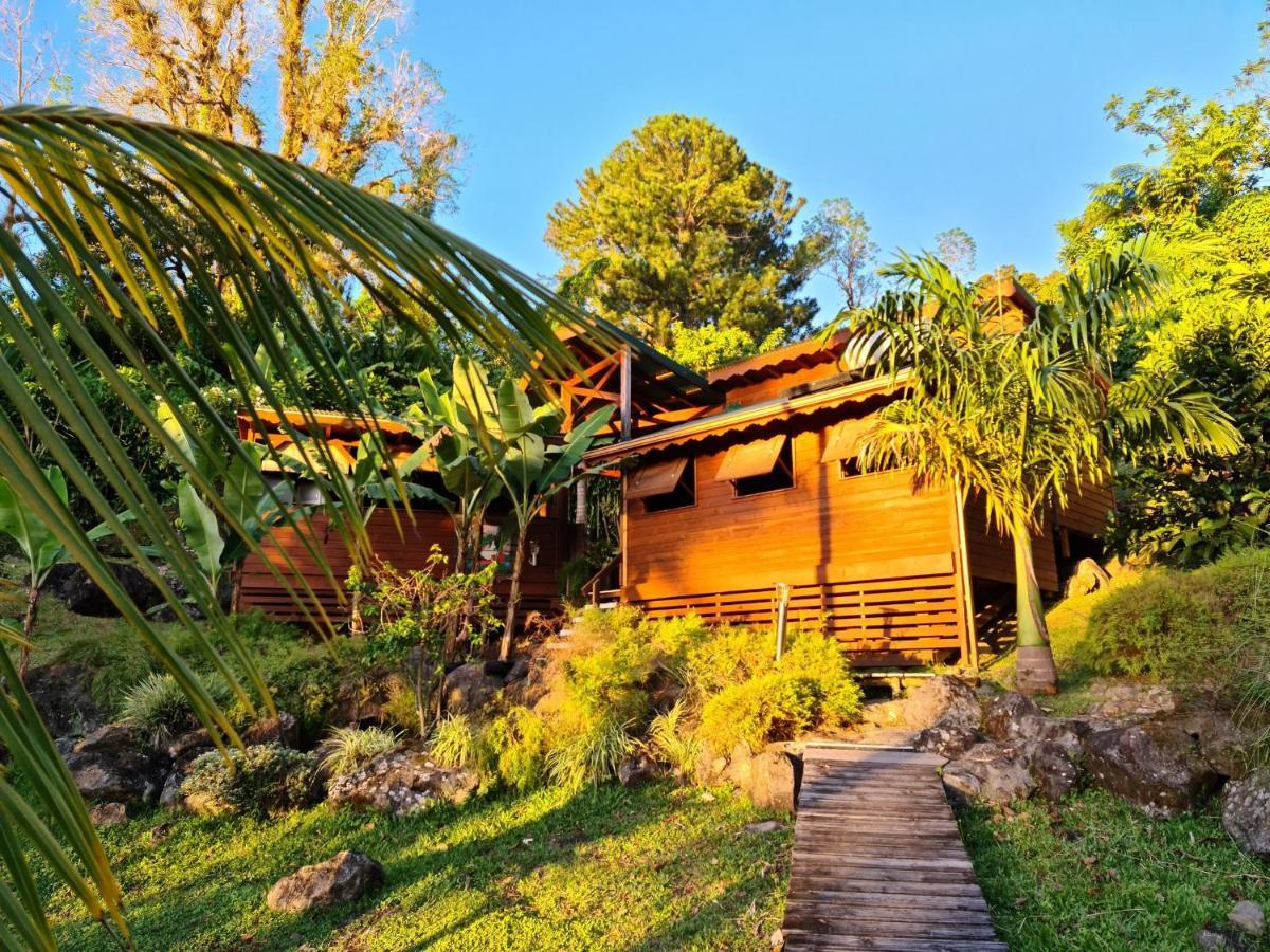 Les Bananes Vertes Ecolodges Saint-Claude Buitenkant foto