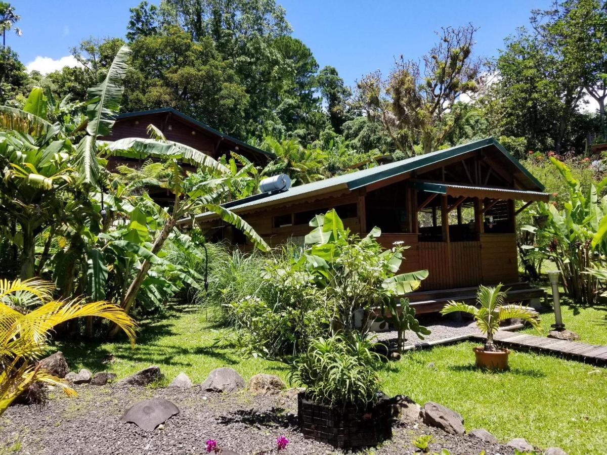 Les Bananes Vertes Ecolodges Saint-Claude Buitenkant foto