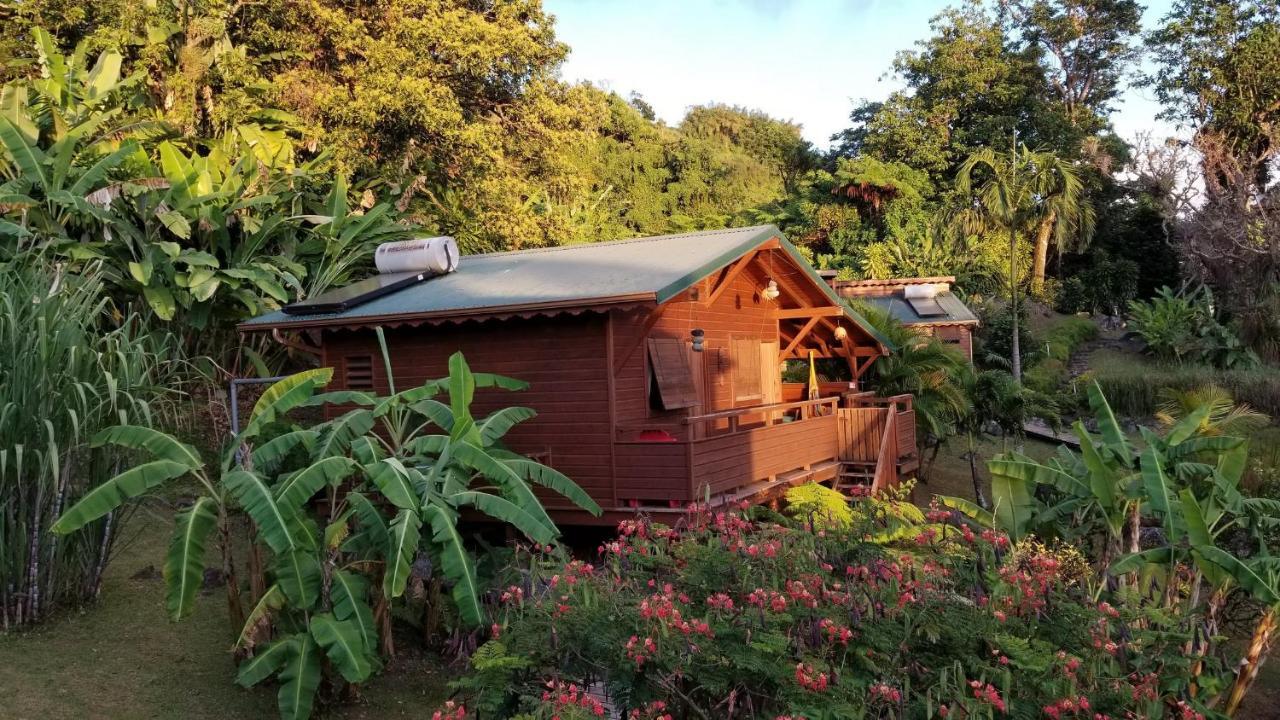 Les Bananes Vertes Ecolodges Saint-Claude Buitenkant foto