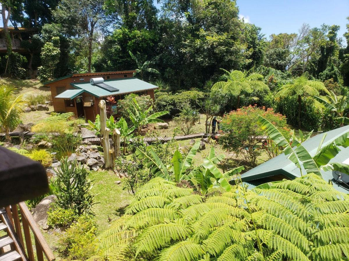 Les Bananes Vertes Ecolodges Saint-Claude Buitenkant foto