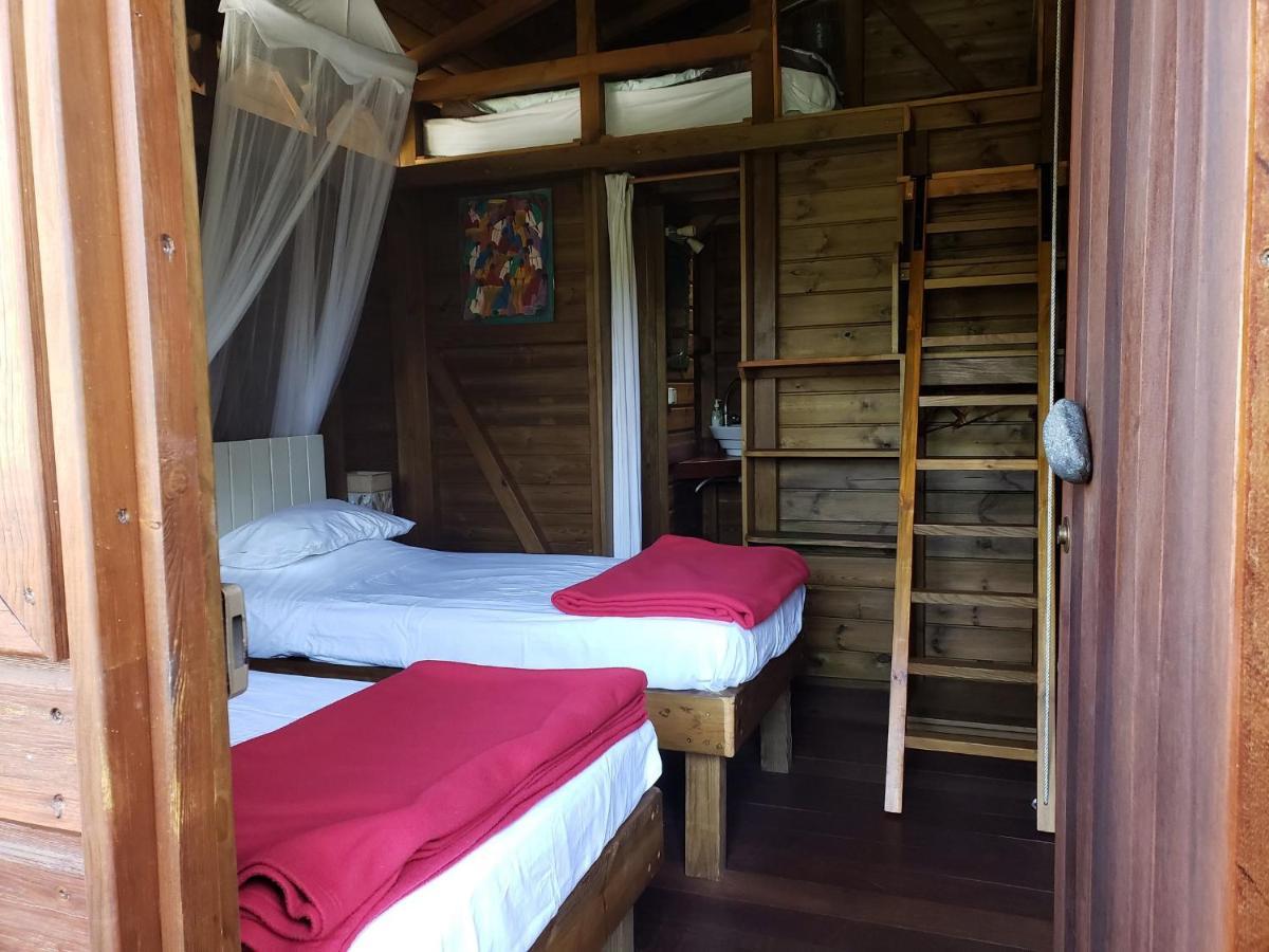 Les Bananes Vertes Ecolodges Saint-Claude Buitenkant foto