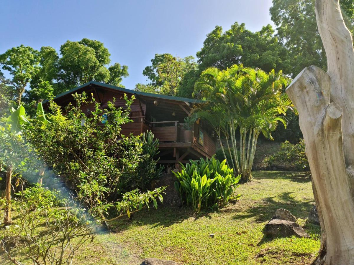 Les Bananes Vertes Ecolodges Saint-Claude Buitenkant foto