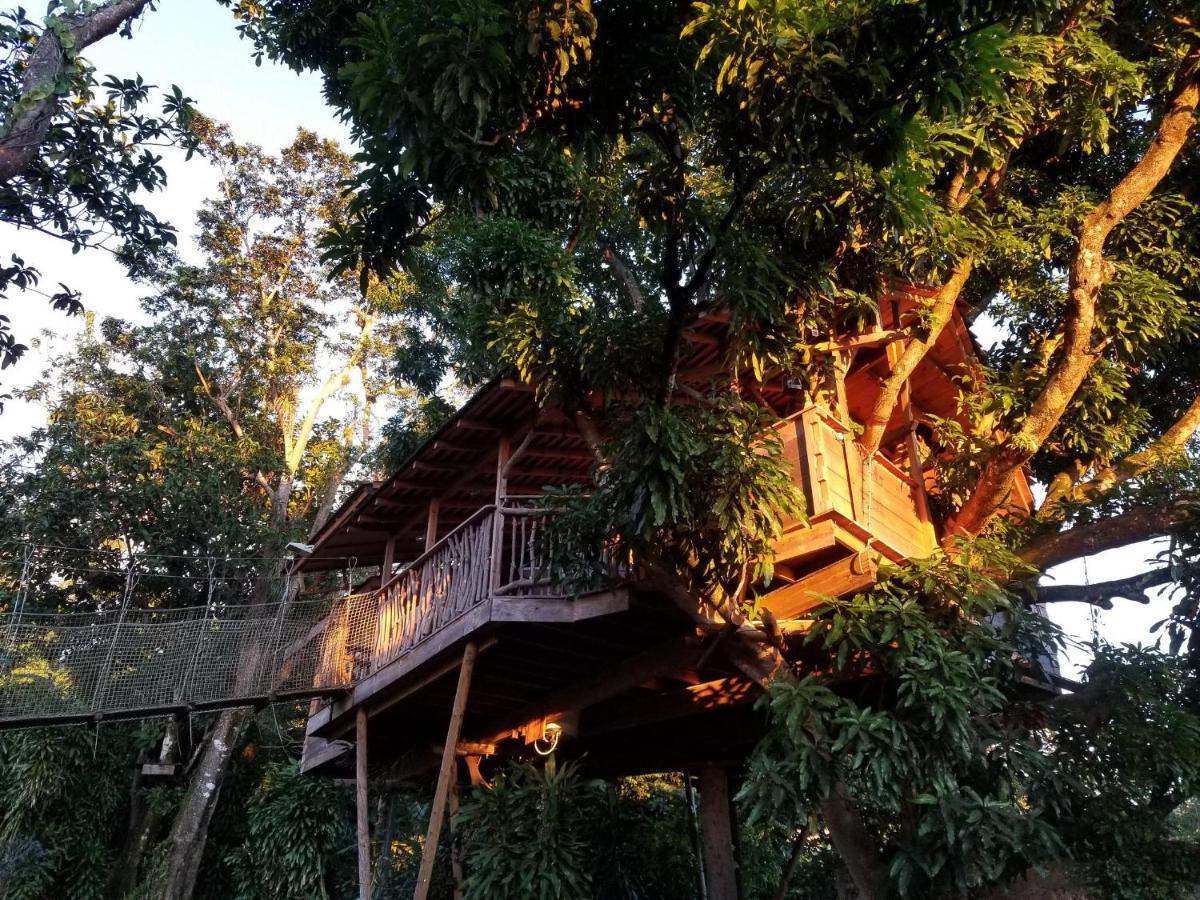 Les Bananes Vertes Ecolodges Saint-Claude Buitenkant foto