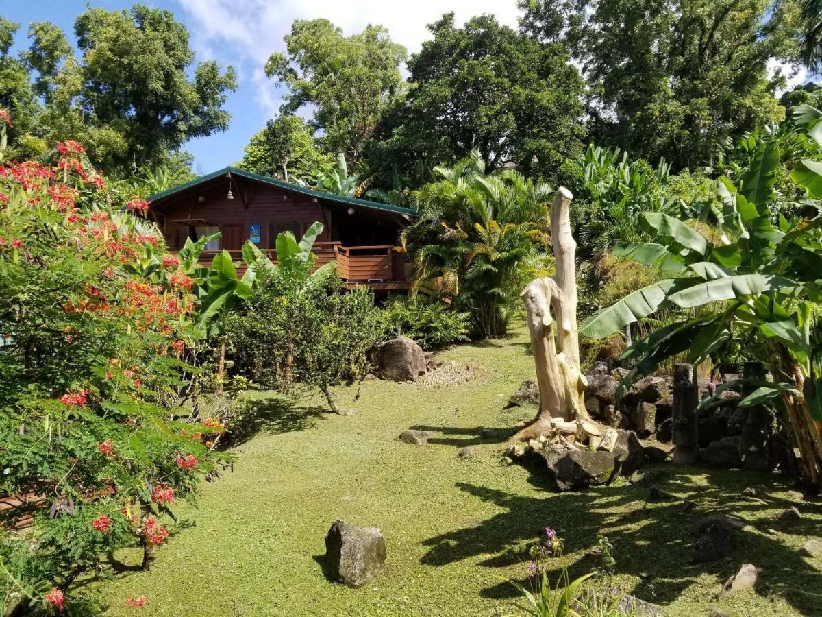 Les Bananes Vertes Ecolodges Saint-Claude Buitenkant foto