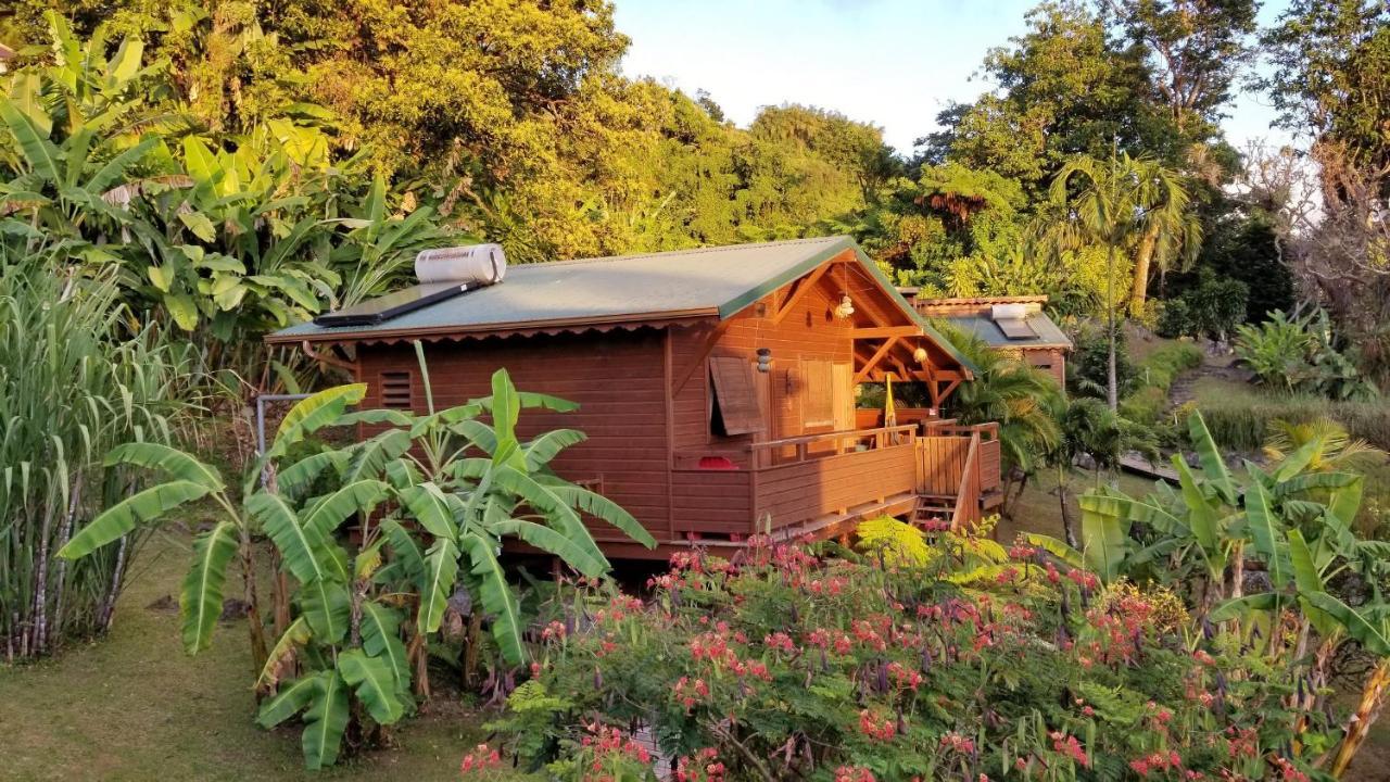 Les Bananes Vertes Ecolodges Saint-Claude Buitenkant foto