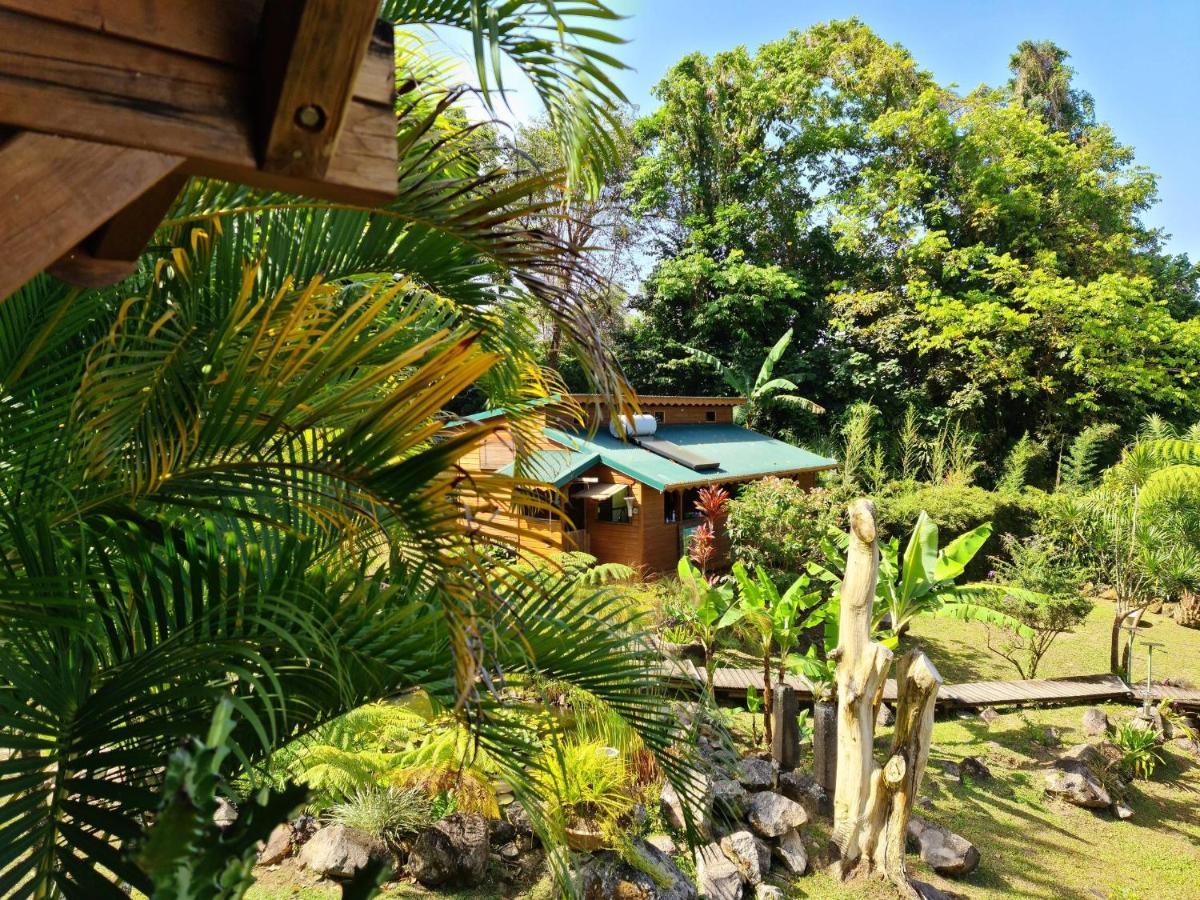 Les Bananes Vertes Ecolodges Saint-Claude Buitenkant foto