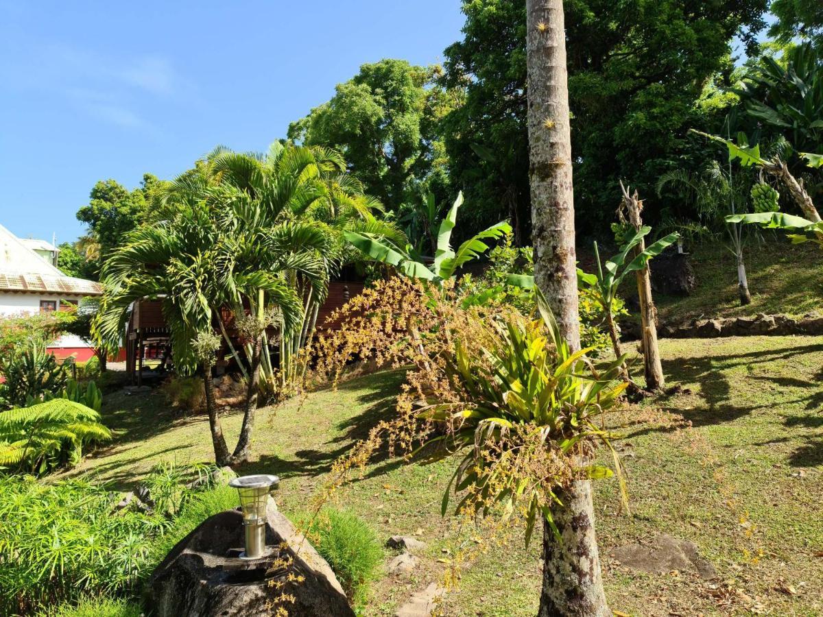 Les Bananes Vertes Ecolodges Saint-Claude Buitenkant foto