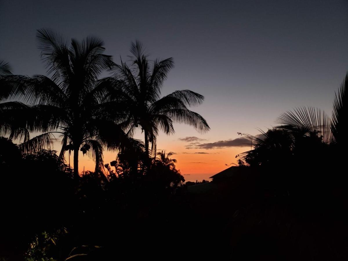 Les Bananes Vertes Ecolodges Saint-Claude Buitenkant foto