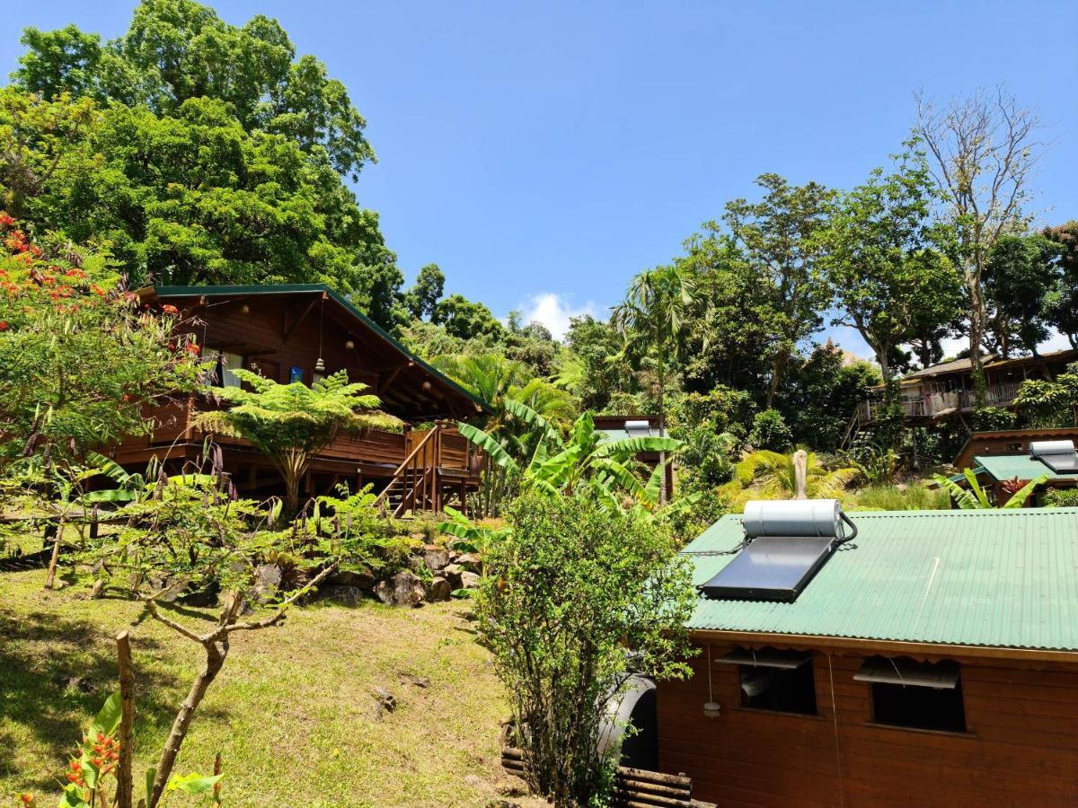 Les Bananes Vertes Ecolodges Saint-Claude Buitenkant foto