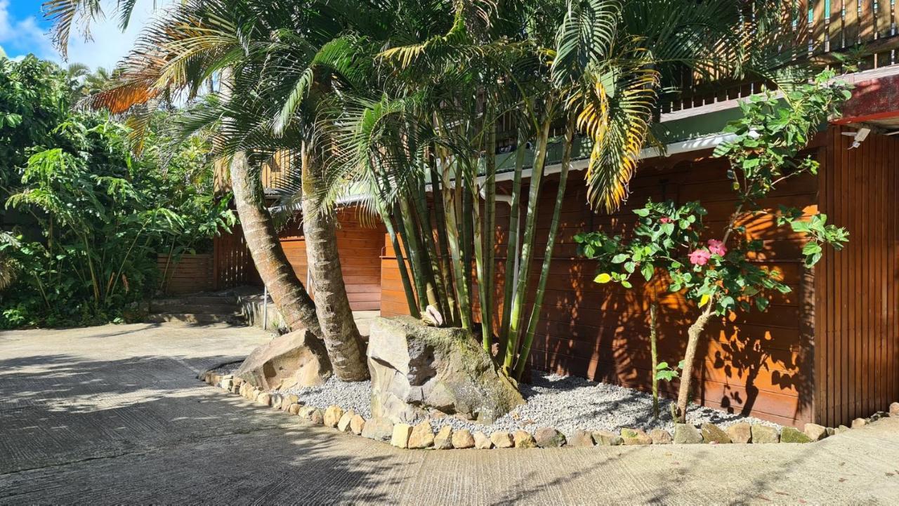 Les Bananes Vertes Ecolodges Saint-Claude Buitenkant foto