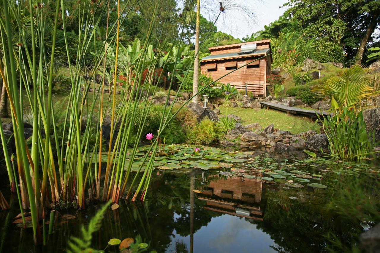 Les Bananes Vertes Ecolodges Saint-Claude Buitenkant foto